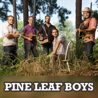 PINE LEAF BOYS